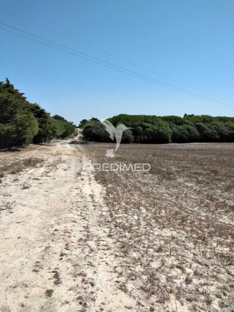 Jardin - Rustic Plot with Sea Access in Porto Côvo