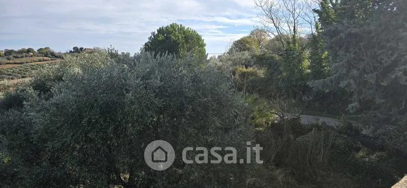 Jardin - Rustic Casale with Panoramic View in Villalfonsina