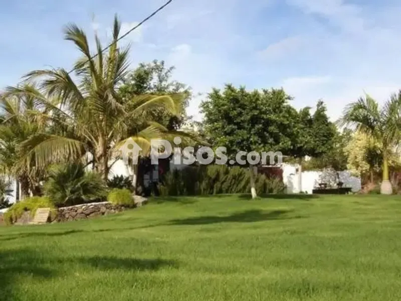 Jardin - Chalet with Traditional Canarian Style in Lanzarote