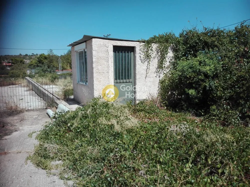 Extérieur - Plot with Mountain View in Spata - Velanidia