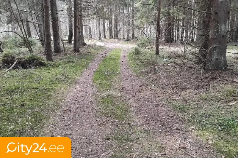 Jardin - Land Plot for Private House in Grobiņa