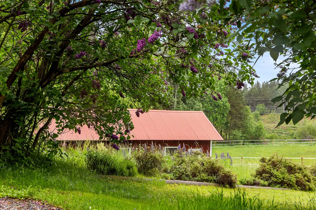 Garden - Complete Horse Farm with Residence in Rural Area