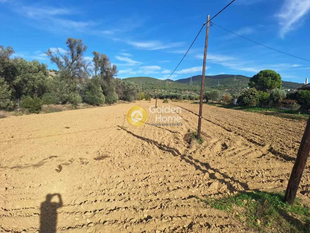 Jardin - Agricultural Plot with Unobstructed View in Chalkida