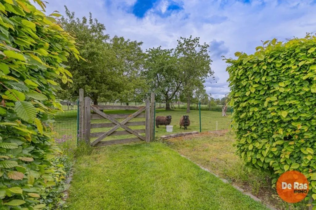 Aed - Open Plan House with Garden in Aaigem