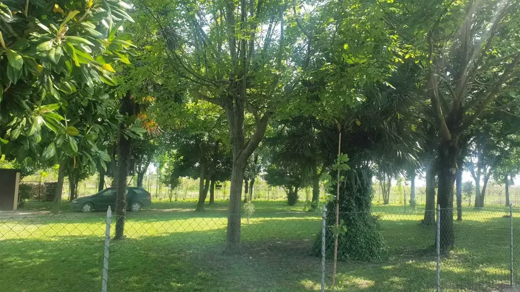 garden