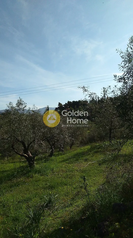 Aed - Plot with Panoramic View in Nauplia