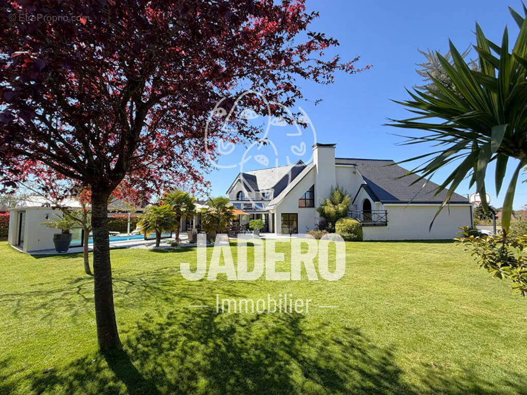 Jardin - Maison d'Architecte avec Piscine sur le Plateau Est