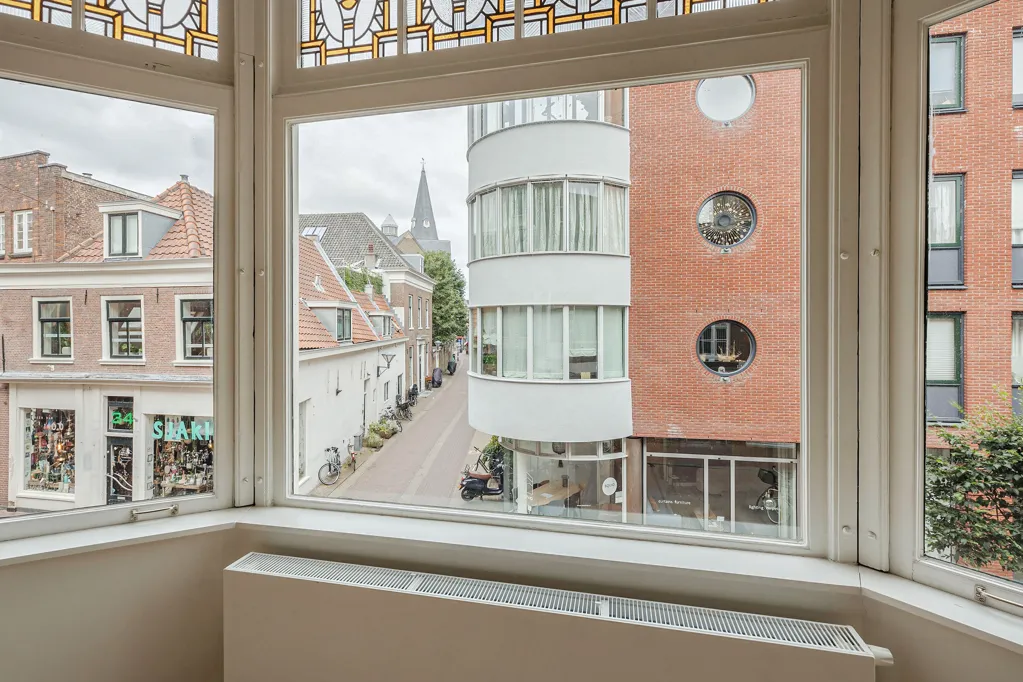Toad - Student Flat with Rooftop Terrace in Haarlem