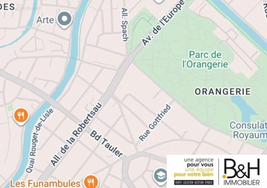 Altro - Duplex Apartment in Strasbourg Centre