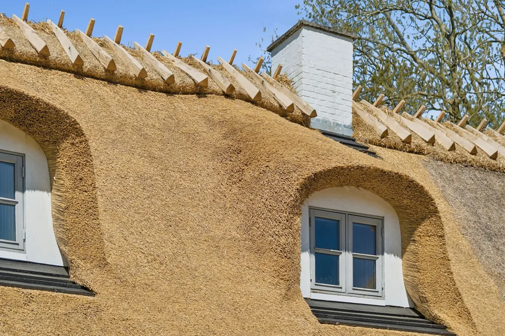 Maison 6 pièces à Lejre
