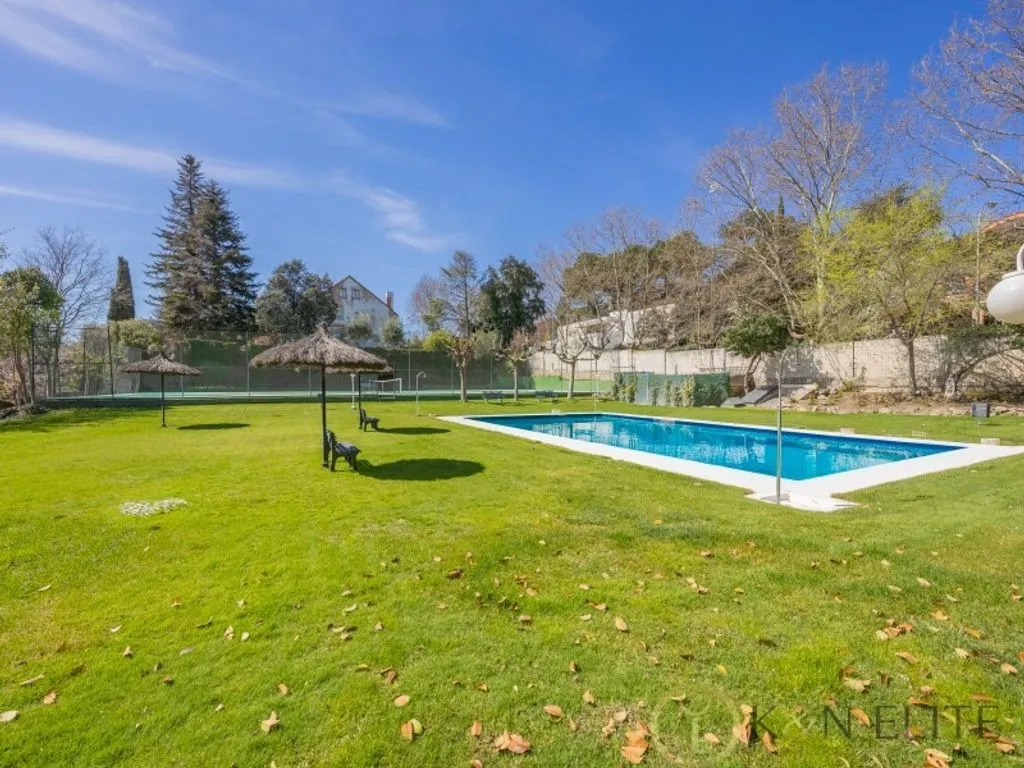 Piscina - Luxury Villa with Pool in Madrid