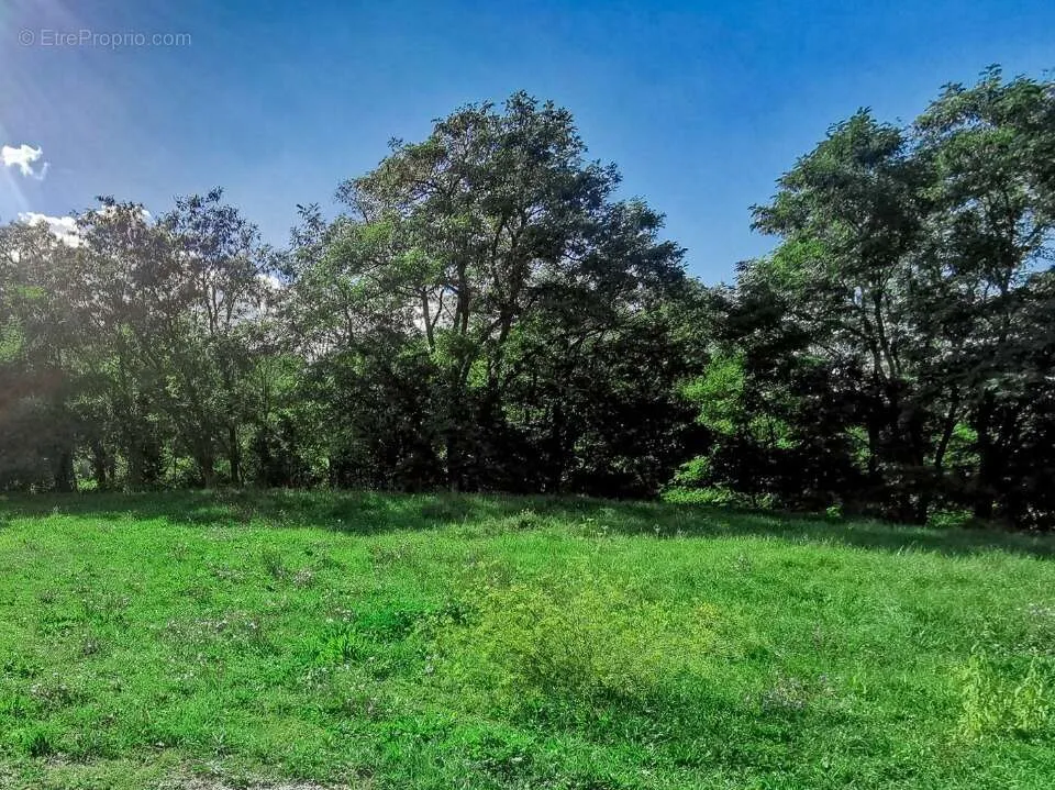 Giardino - 1000 m² Plot with Garden in Rians