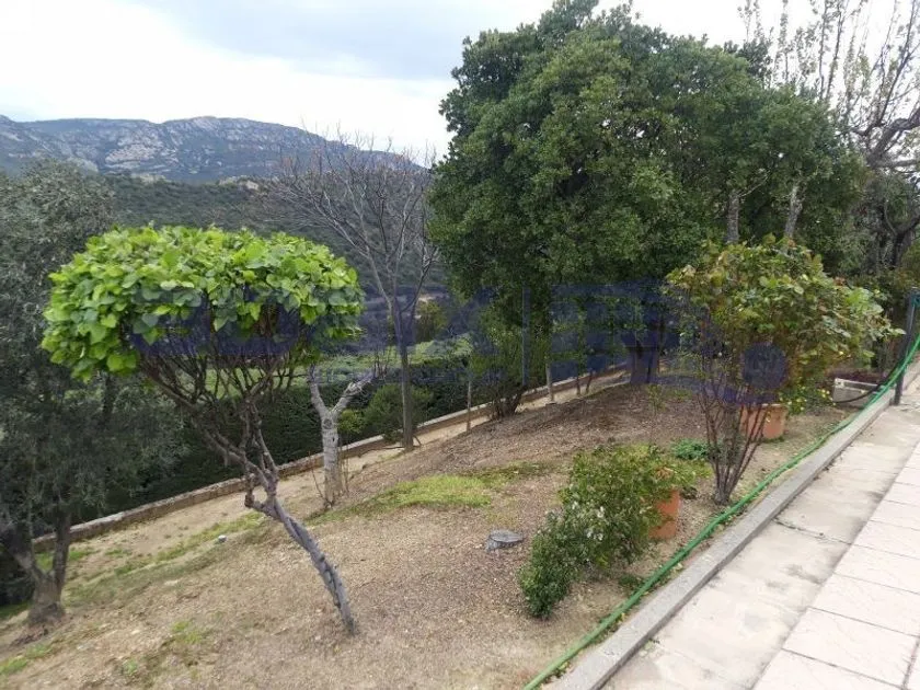Jardin - Chalet with Garden in Almodóvar del Campo