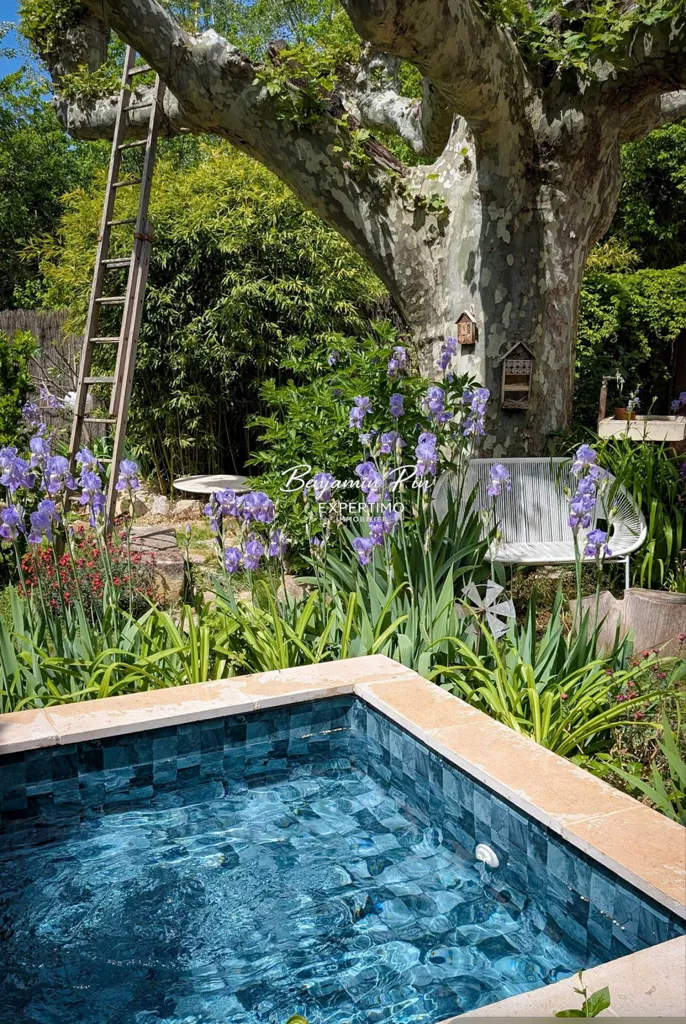Bassein - Rustic Stone House with Pool in Rustrel