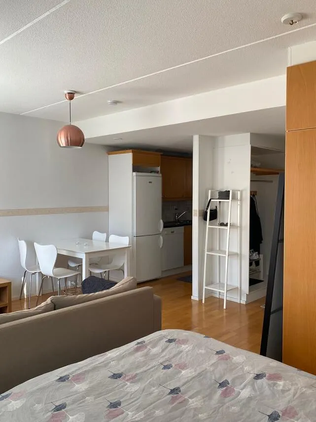 Magamistoad - Spacious Studio with Balcony in Heinäpää, Oulu