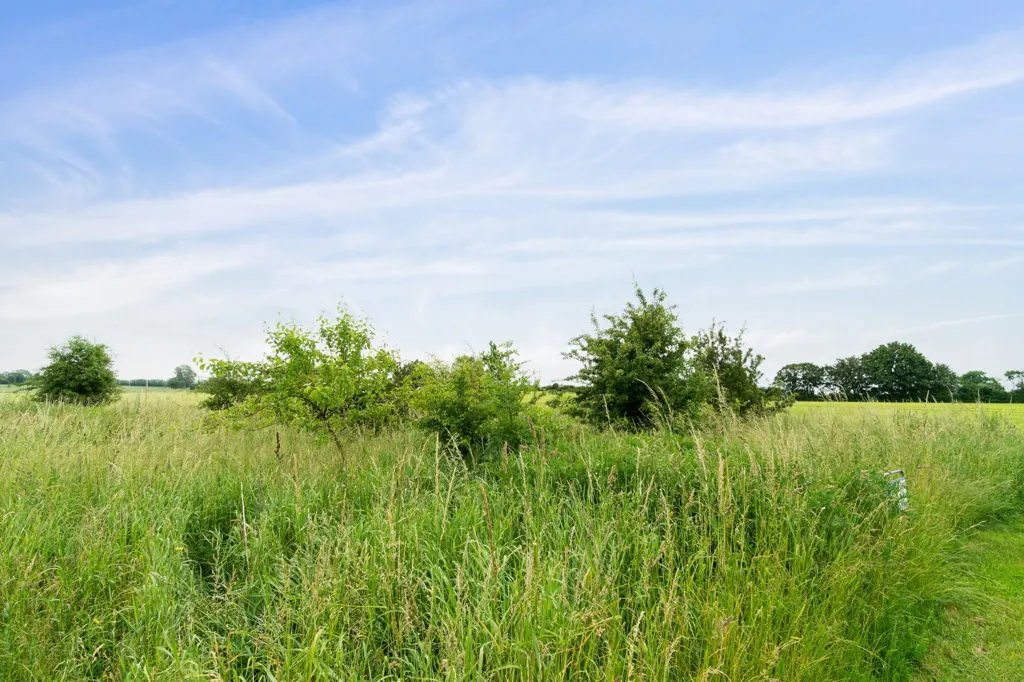 Jardin - Year-Round Plot with 5G Coverage in Orup