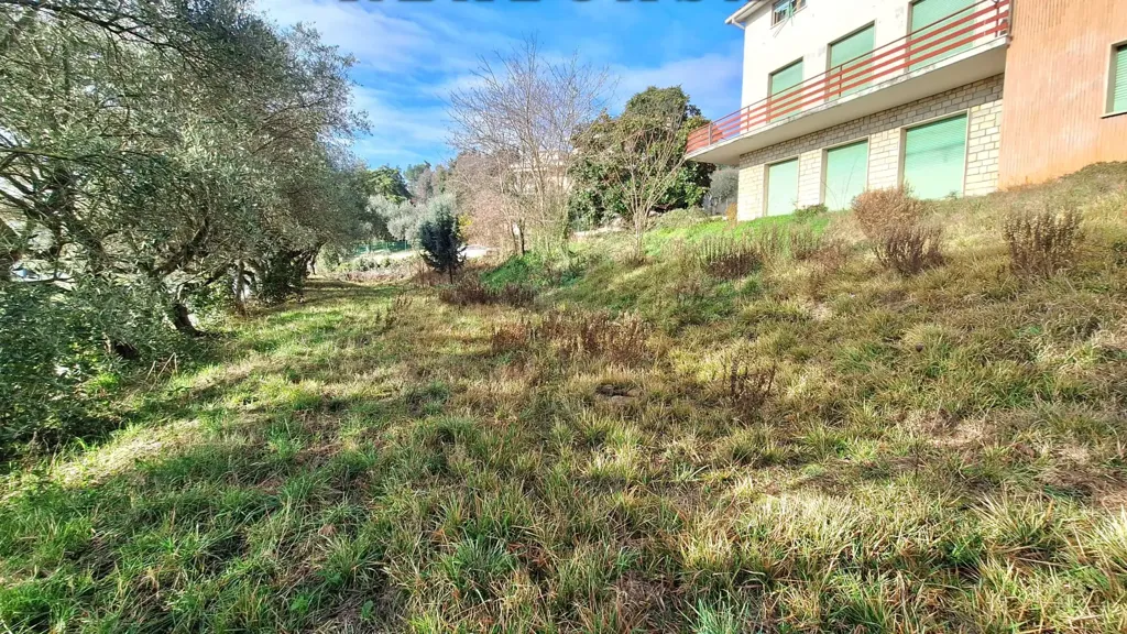 Aed - Independent House with Large Garden in Osimo