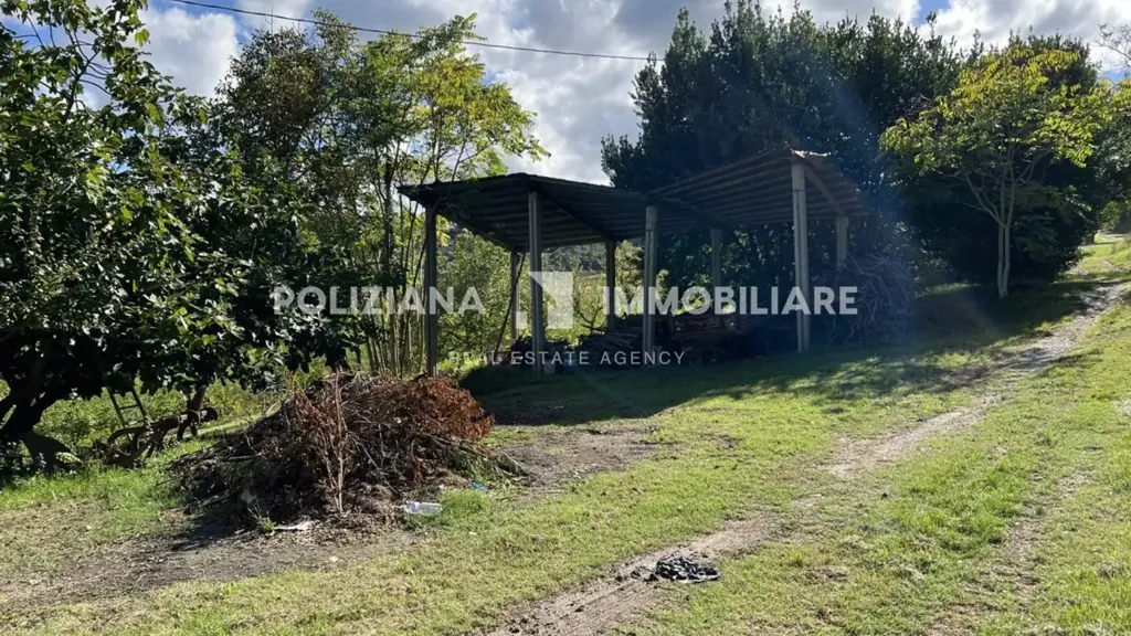Jardin - Rustic Casale with Olive Grove in Montepulciano