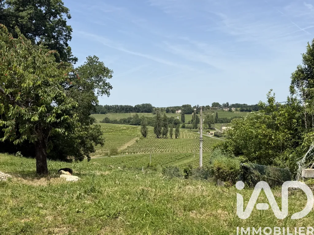 Giardino - Rustic Character House with Vineyard View in Puisseguin