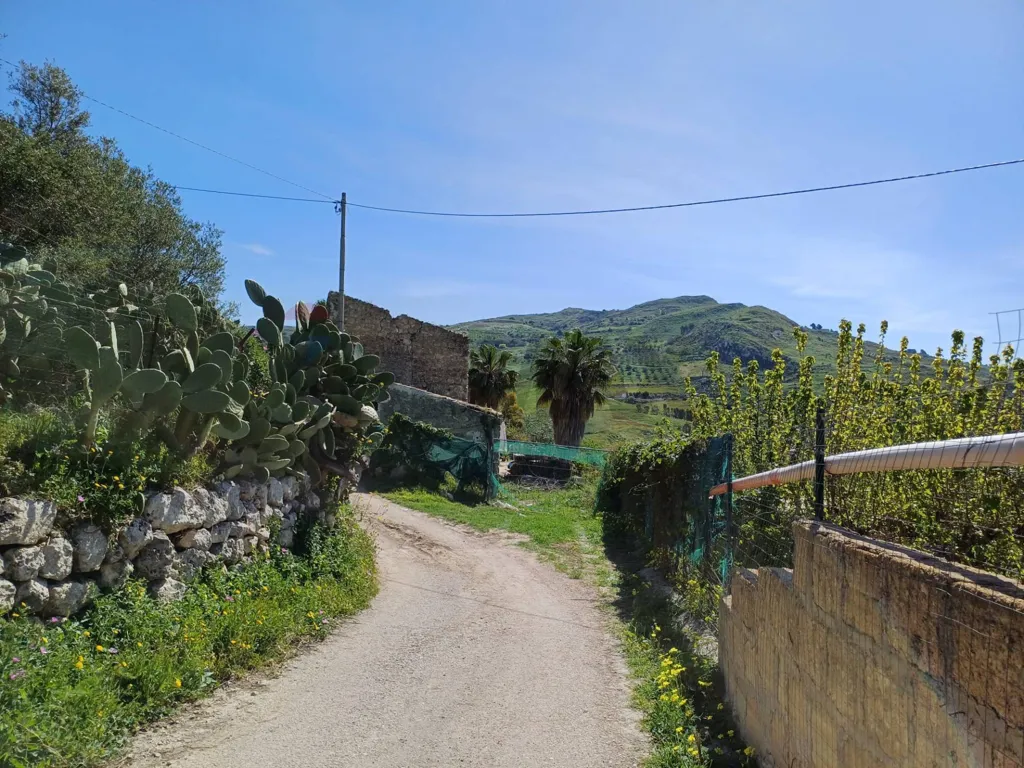 Garden - Rustic Ruin with Panoramic View in Favara