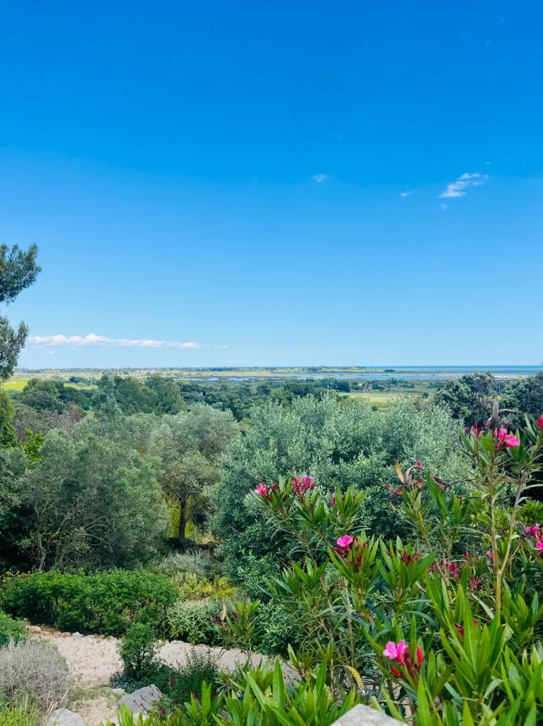 Jardin - Demeure de Maître avec Vue Mer Panoramique entre Montpellier et Sète