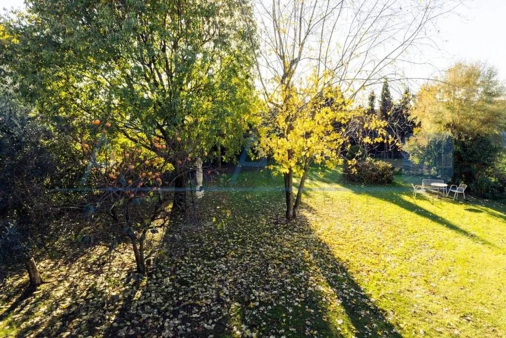 Aed - Luxury Villa with Private Garden in Oppeano