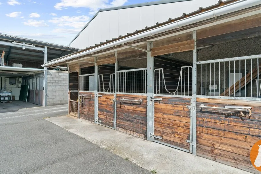 Aed - Equestrian Facility with Villa in Mechelen