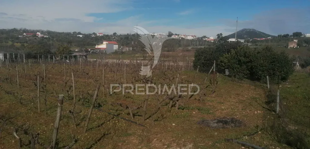 Garden - Industrial Land with Direct Access in Portalegre