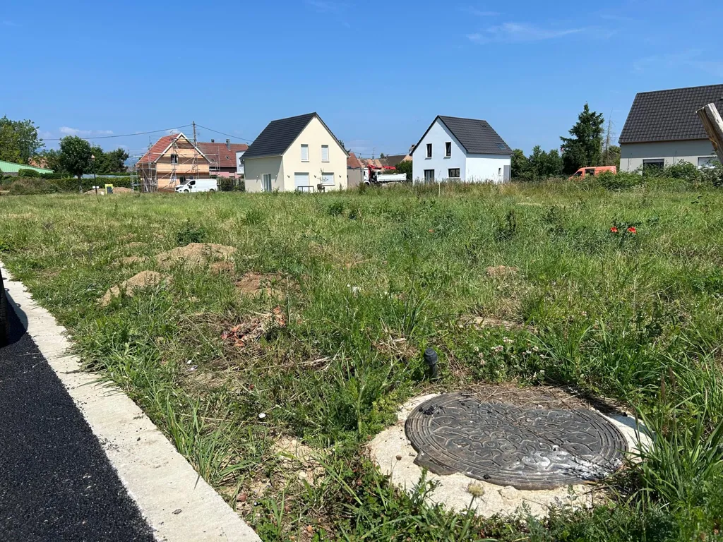 Jardin - Terrain Constructible Viabilisé à Munwiller