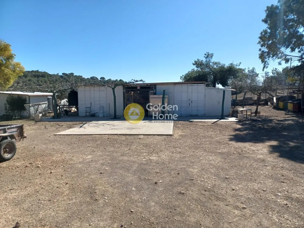 Aed - Agricultural Plot with Panoramic View in Loutraki