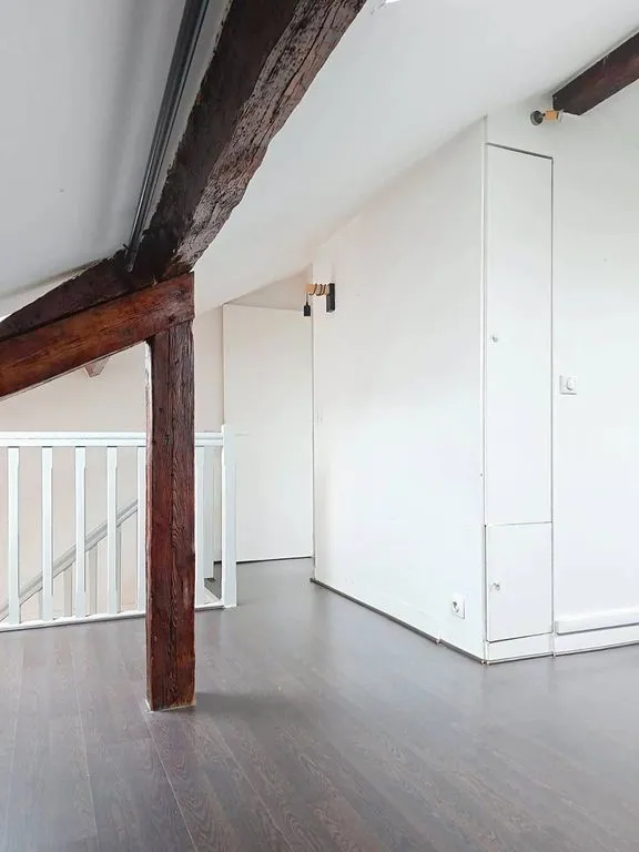 Toad - Charming Duplex in Vaugirard, Paris