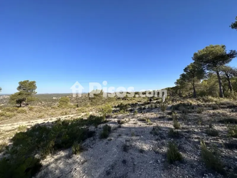 Jardin - Historic Finca with Vineyards in Requena