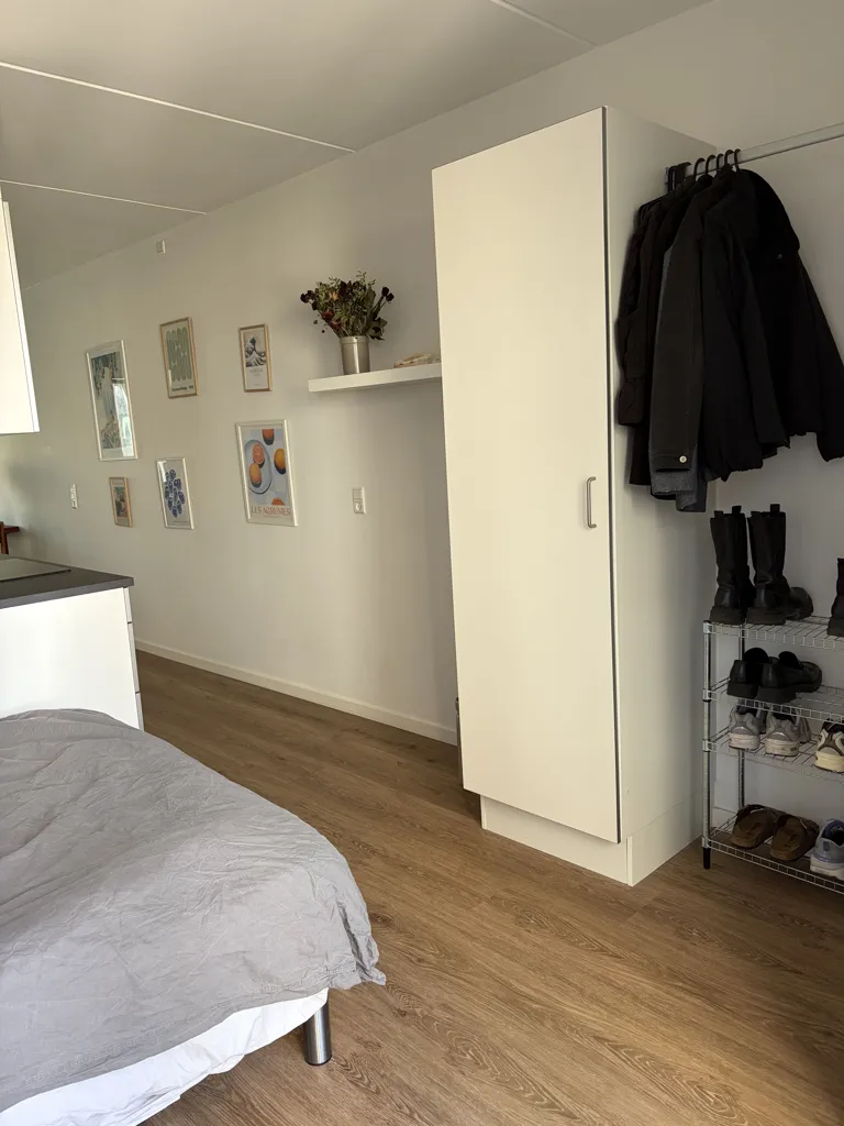 Magamistoad - 1-Bedroom Student Flat with Balcony in Aalborg