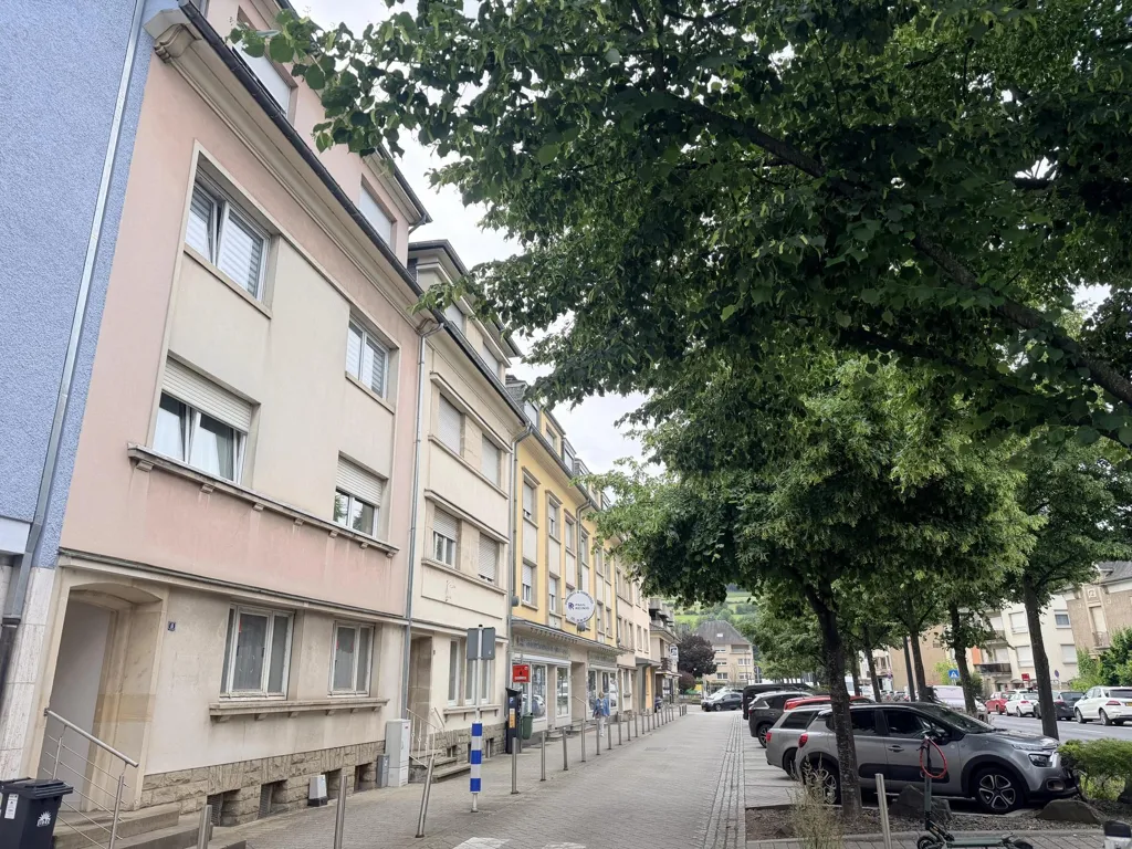 Välivaade - Renovated Flat with Balcony in Ettelbruck