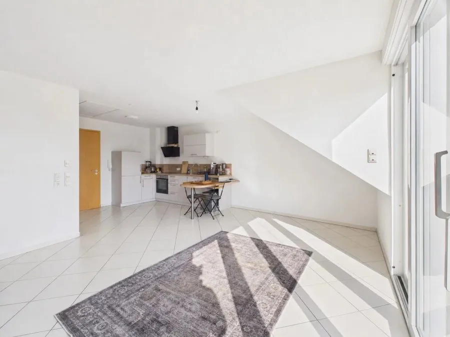 Séjour - Appartement 1 pièces à Trier