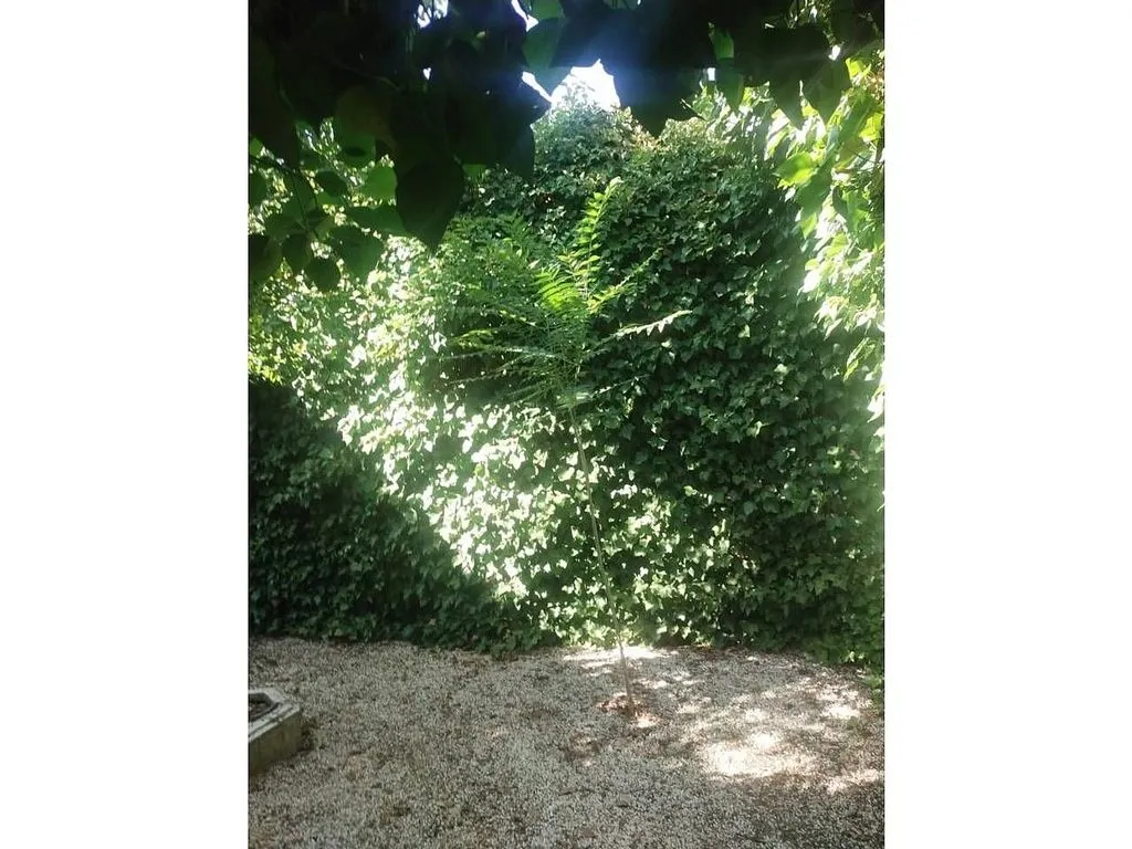 Aed - Rural House with Pool in Manzanares