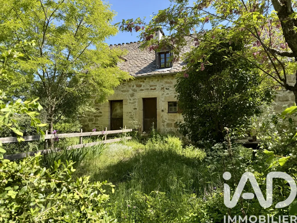 Garden - Charming Stone House with Garden near Mende