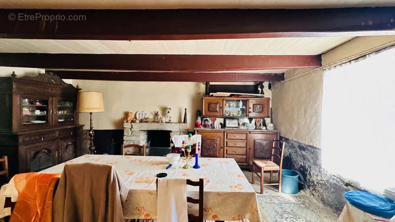 Dining Room - Rare Farmhouse with 20 Hectares in CAST