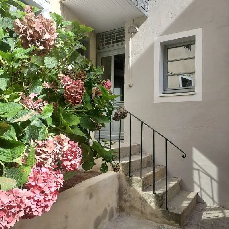Toad - Characterful Investment Property in Vannes Centre