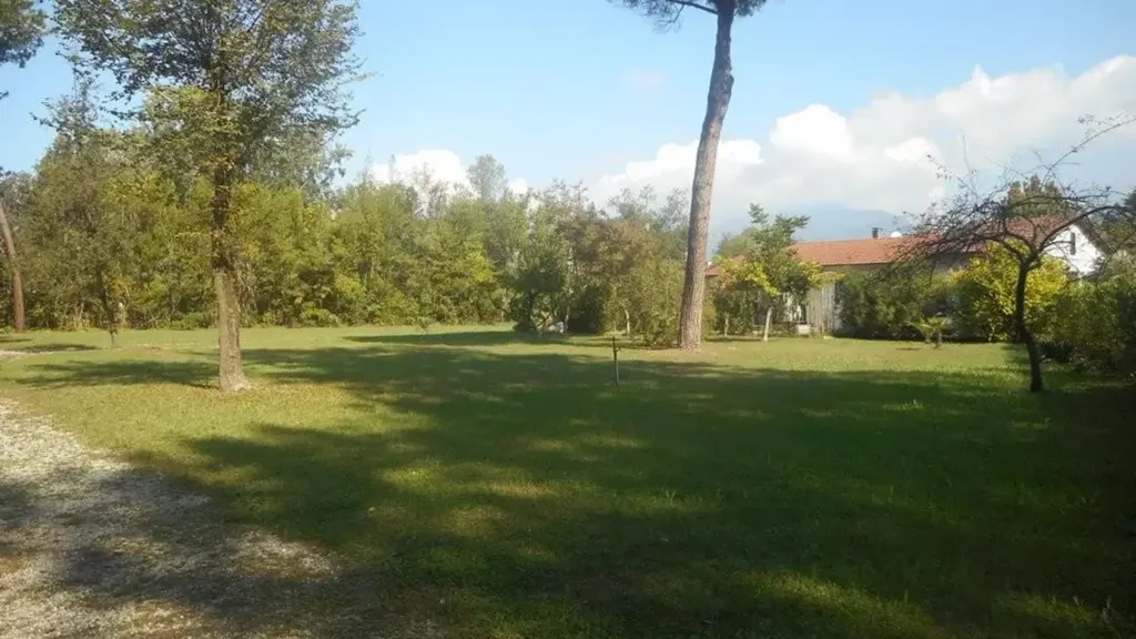 Jardin - Villa with Garden in Poveromo, Massa