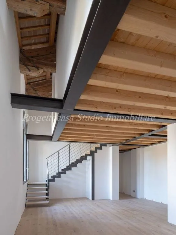 Toad - Luxury Duplex Flat in Historic Villa, Mirano