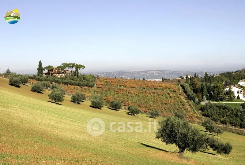 Jardin - Panoramic Villa with Private Park in Notaresco