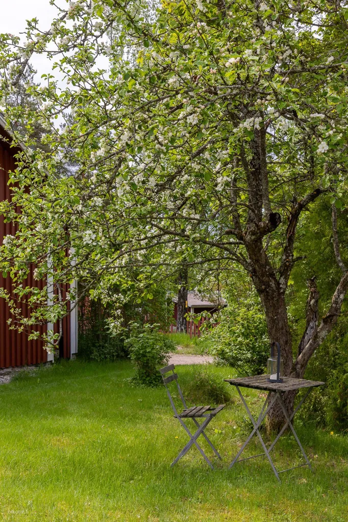 Jardin - Modern Detached House with Garden in Kerkkoo