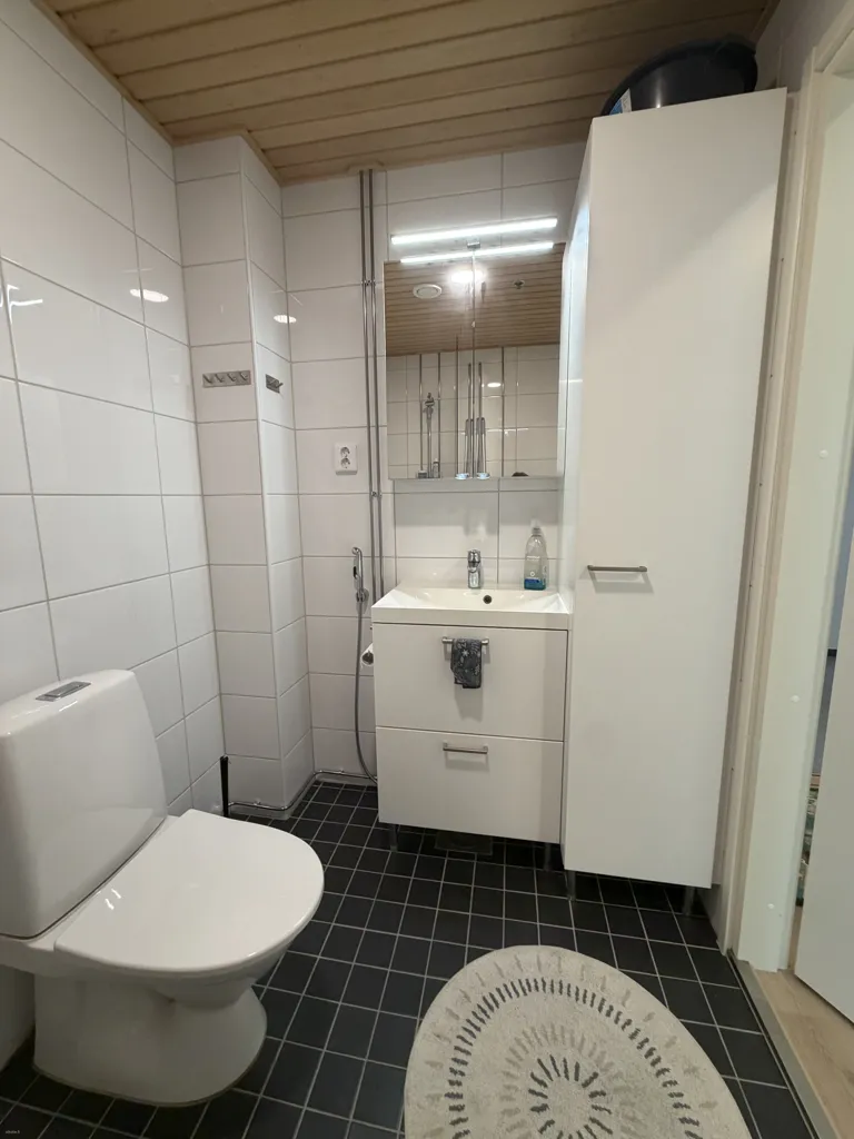 Vannitoad - Efficient Studio with City Views in Tampere Centre