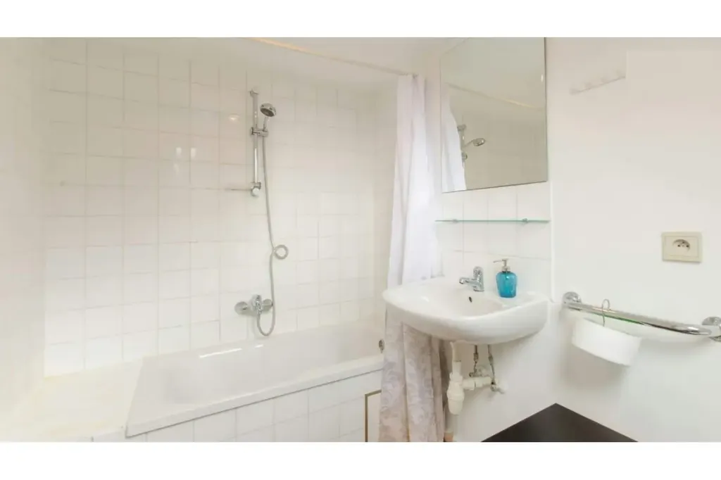 Vannitoad - Loft-Style Studio with Skylights in Brussels Centre