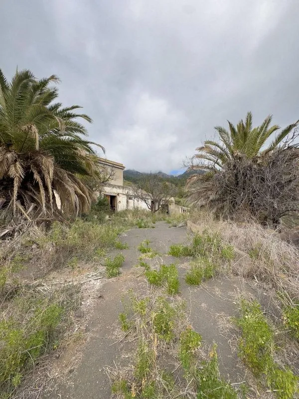 Aed - Rustic Property with Restoration Potential in Arafo