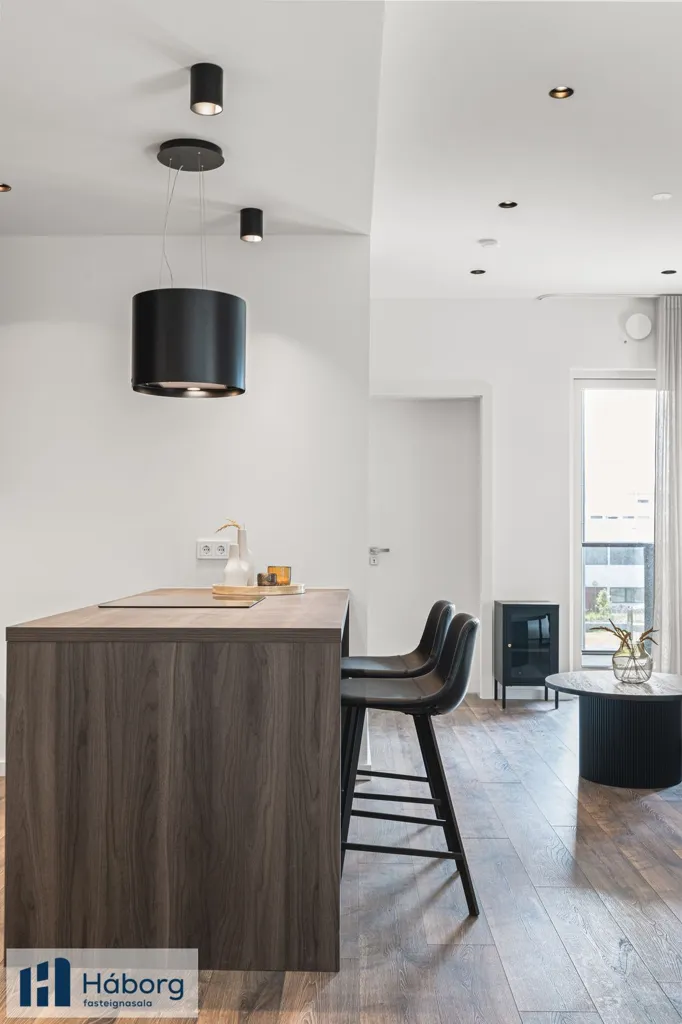 Appartement 3 pièces à Reykjavík