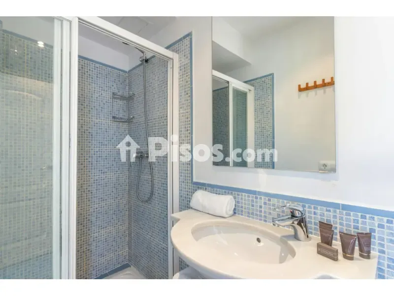 Vannitoad - Duplex Apartment with Terrace in Seville's Historic Centre