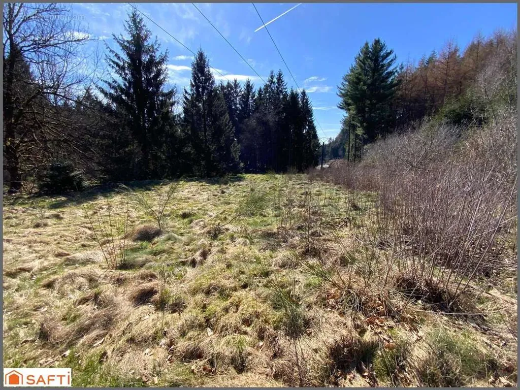 Aed - Non-Constructible Land with South-East Exposure in Le Tholy