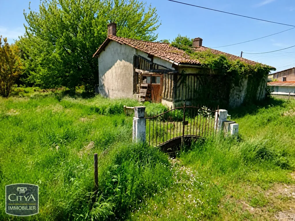 Garden - Renovatable House with Garden in Charming Area